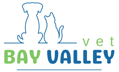 Bay Valley Vet