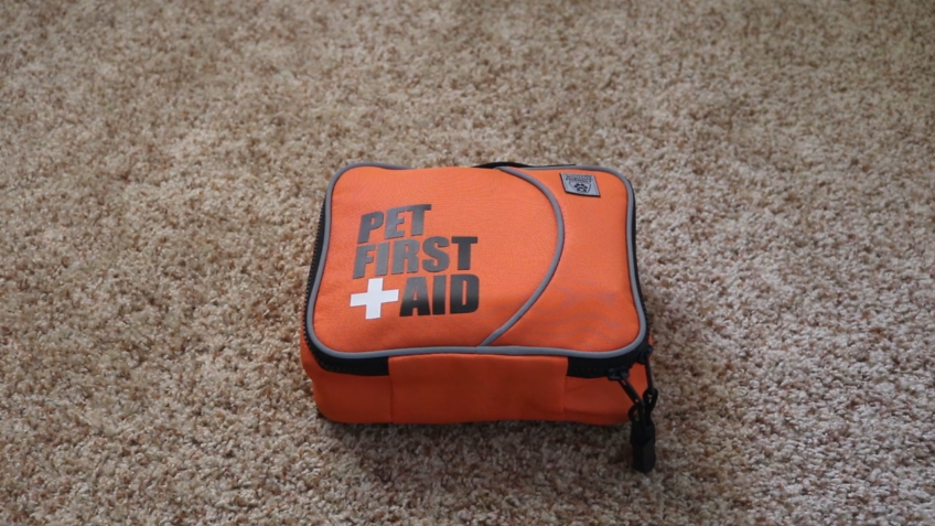 Pet First Aid